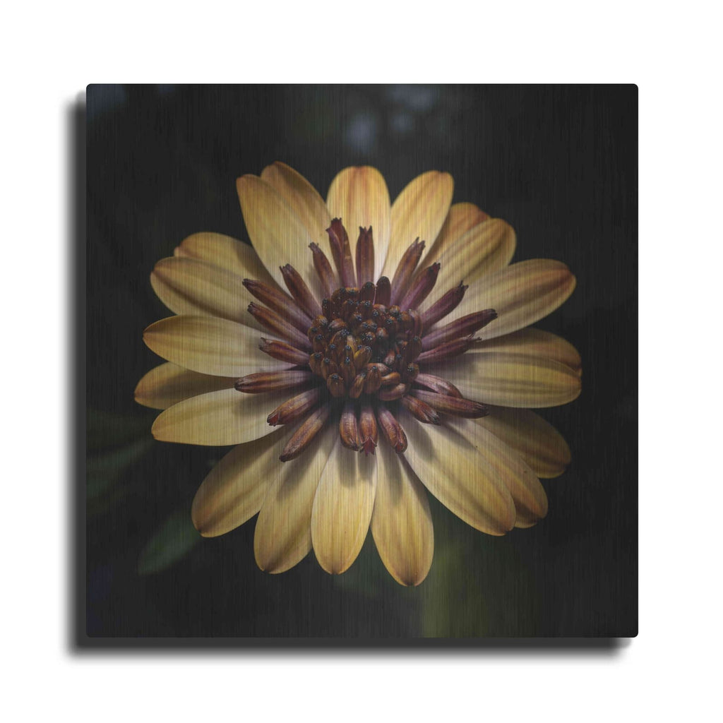 'Sunny Bloom' by Leah McLean – Metal Wall Art