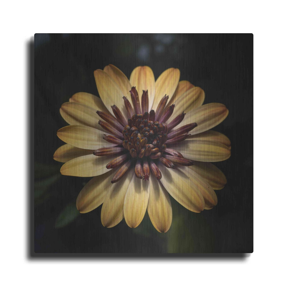 'Sunny Bloom' by Leah McLean – Metal Wall Art