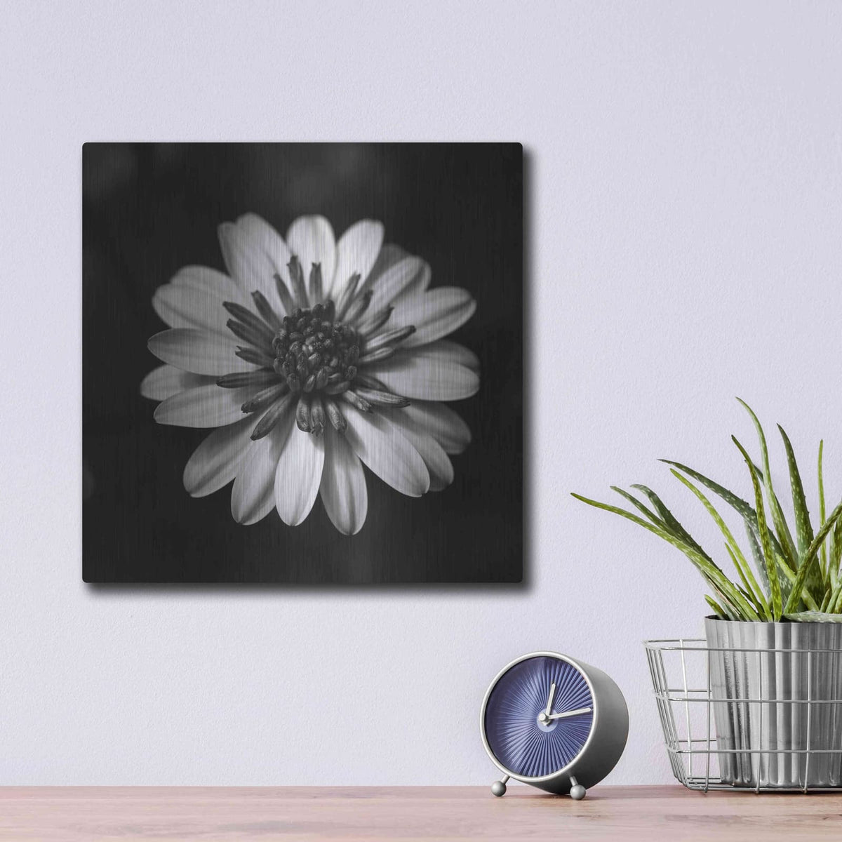 'Sunny Bloom Monochrome' by Leah McLean – Metal Wall Art, 12x12 room view