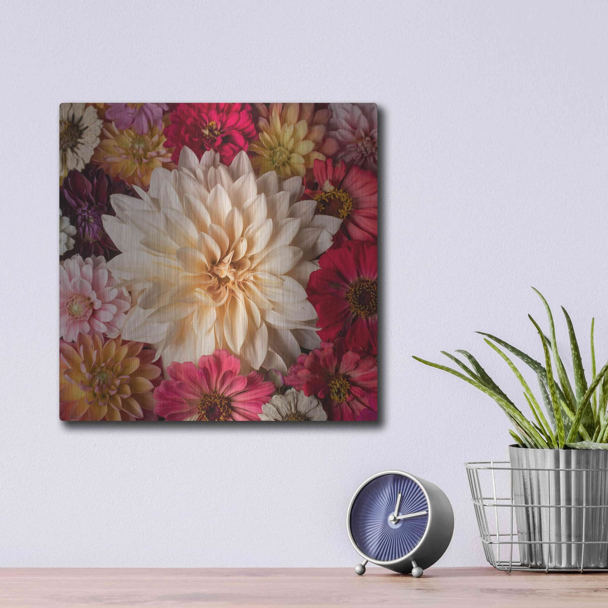 'Dahlia Waltz' by Leah McLean – Metal Wall Art, 12x12 room view