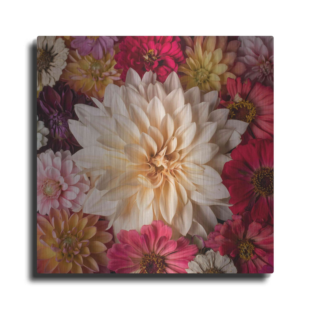 'Dahlia Waltz' by Leah McLean – Metal Wall Art
