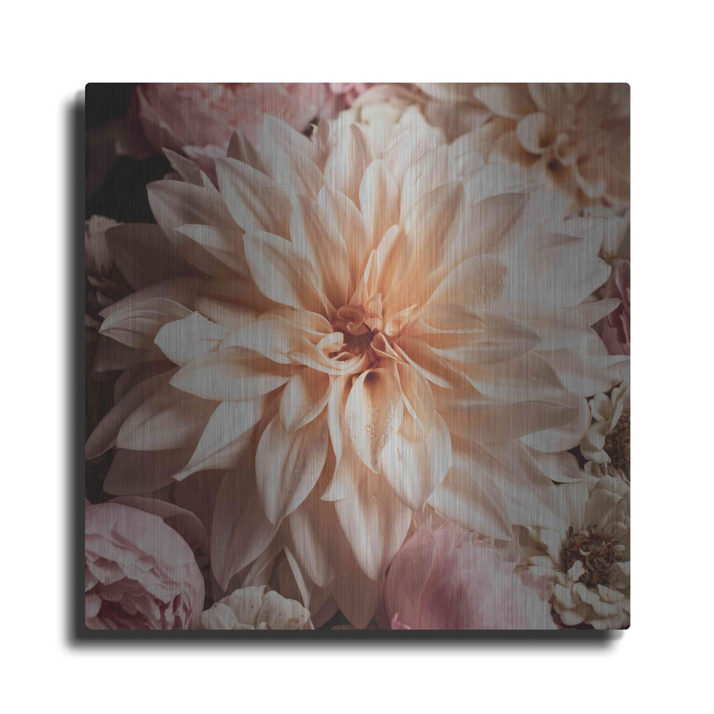 'Dahlia Whimsy' by Leah McLean – Metal Wall Art