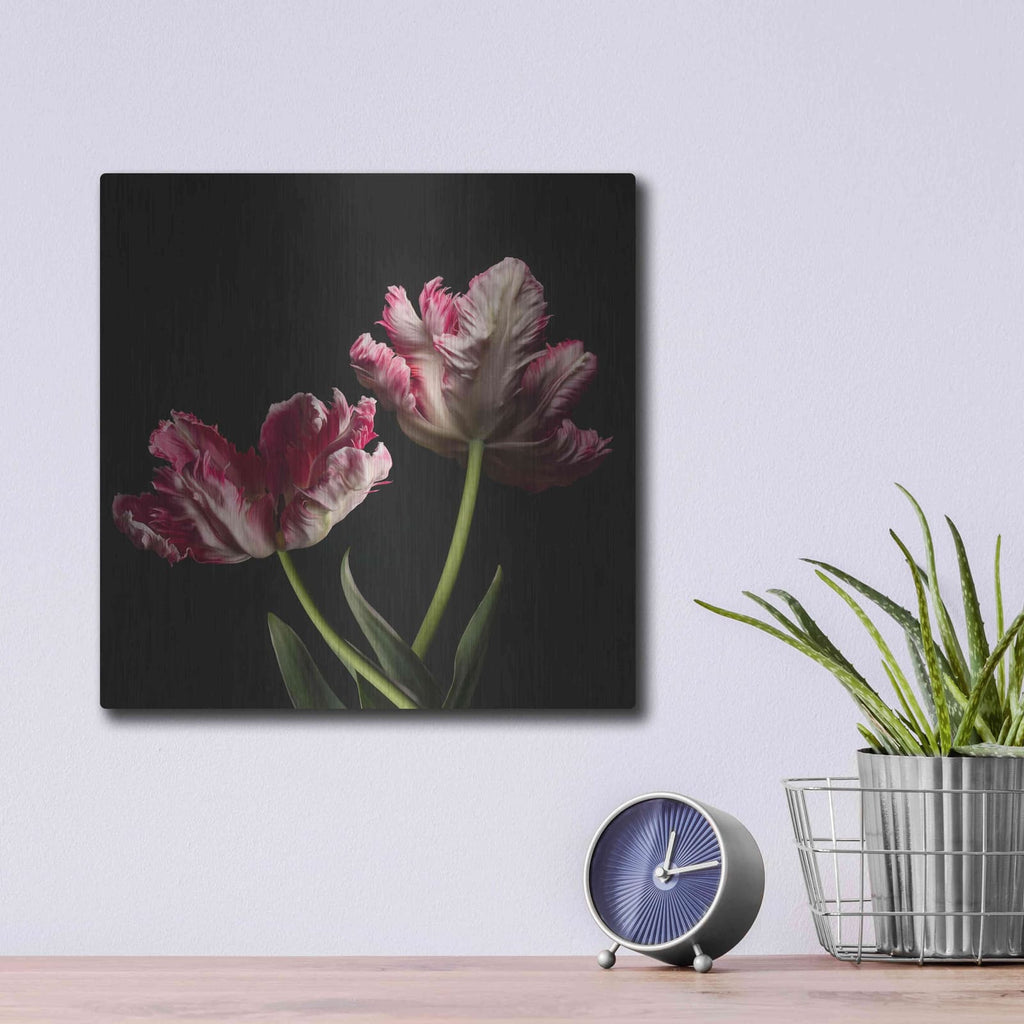 'Open Bloomed Tulips' by Leah McLean – Metal Wall Art, 12x12 room view