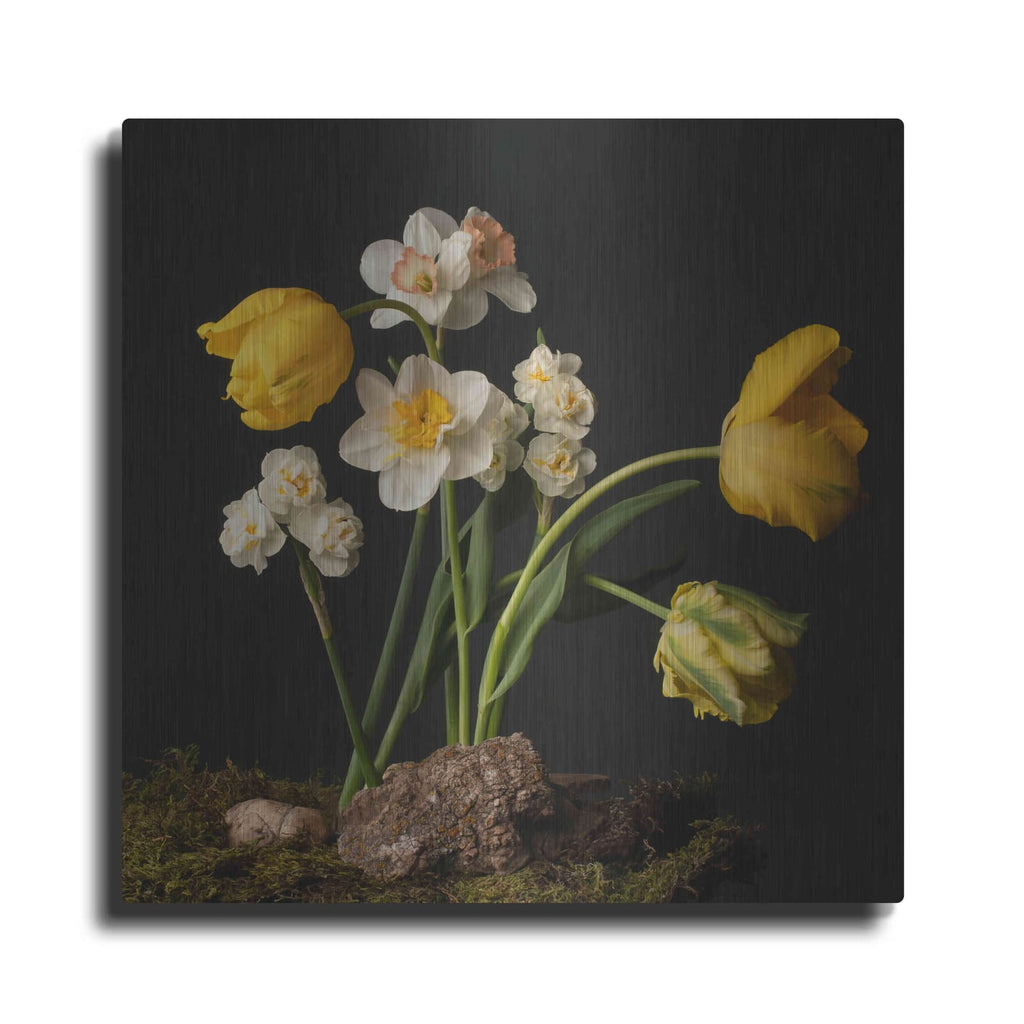 'Signs of Spring' by Leah McLean – Metal Wall Art