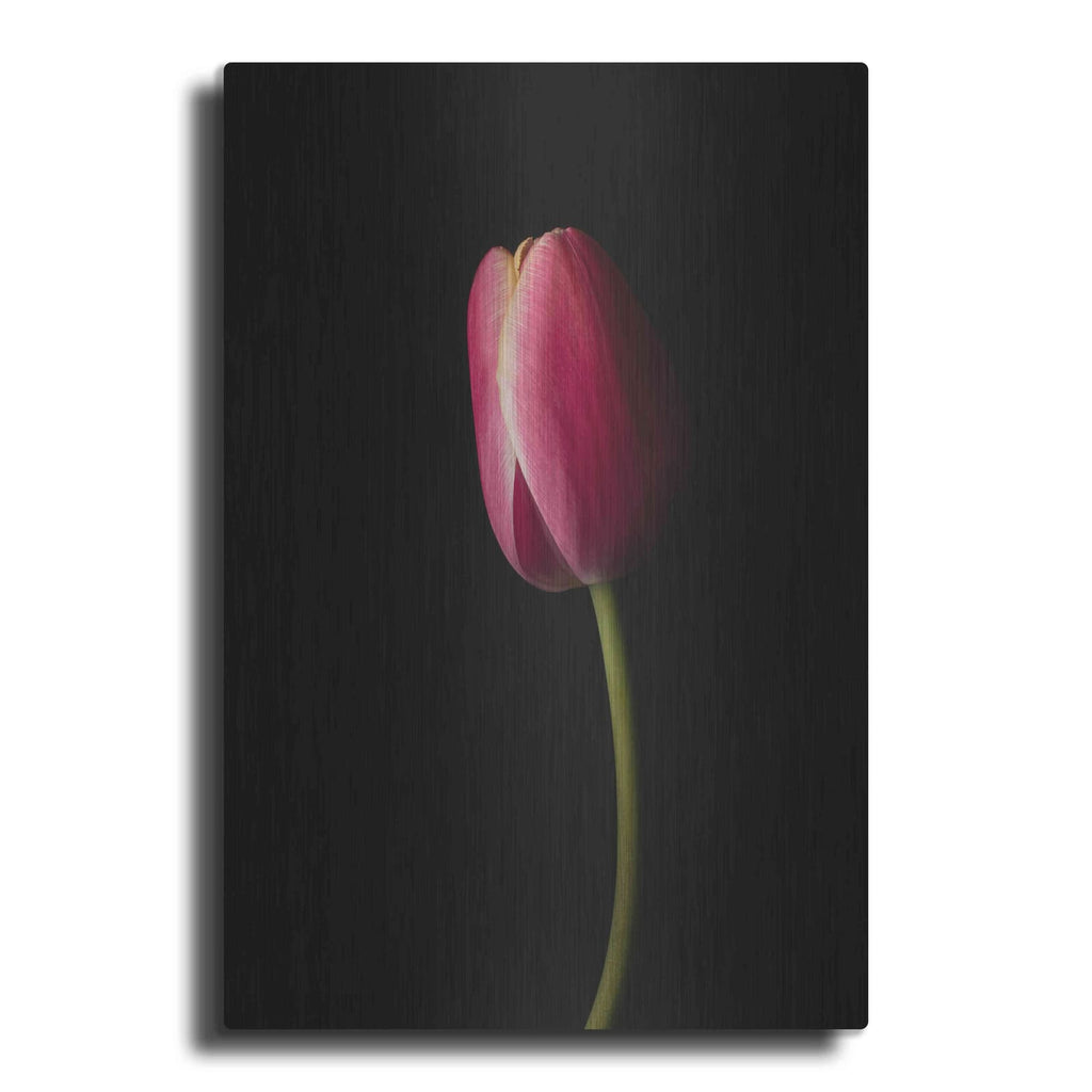 'Perfect Curve' by Leah McLean – Metal Wall Art