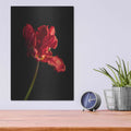 'Rippled Red Beauty' by Leah McLean – Metal Wall Art, 12x16 room view