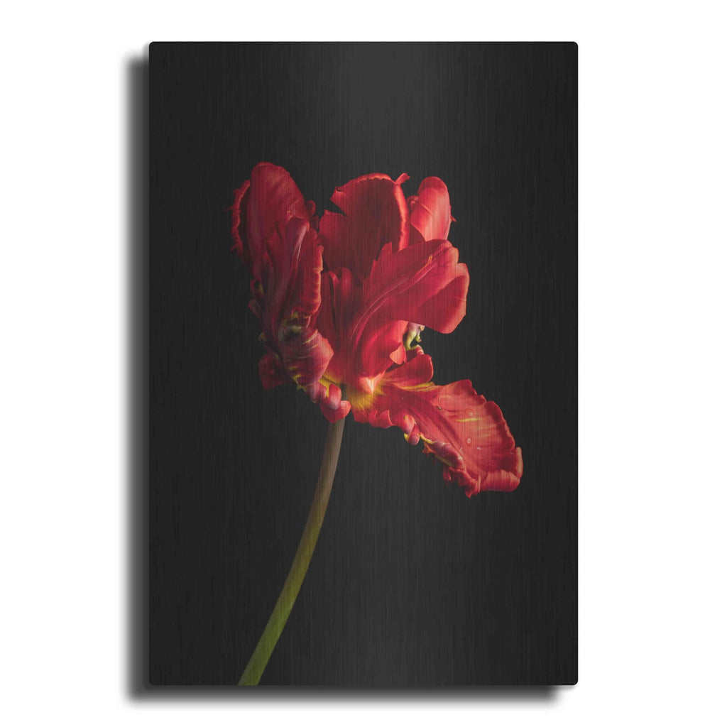 'Rippled Red Beauty' by Leah McLean – Metal Wall Art