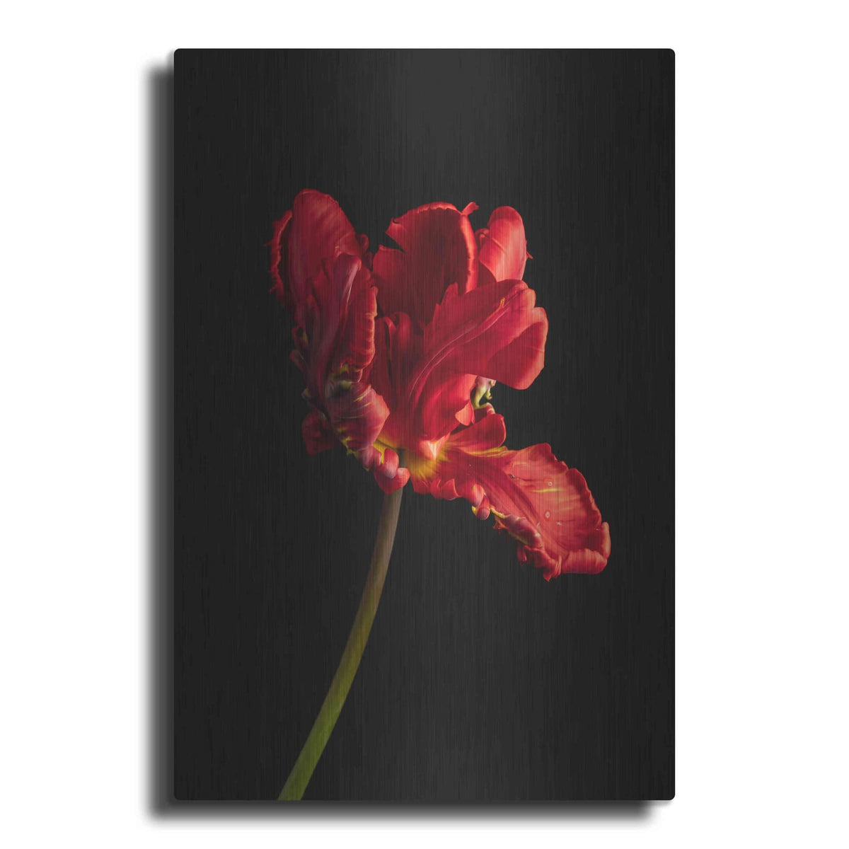 'Rippled Red Beauty' by Leah McLean – Metal Wall Art