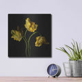 'Yellow Parrot Trio' by Leah McLean – Metal Wall Art, 12x12 room view