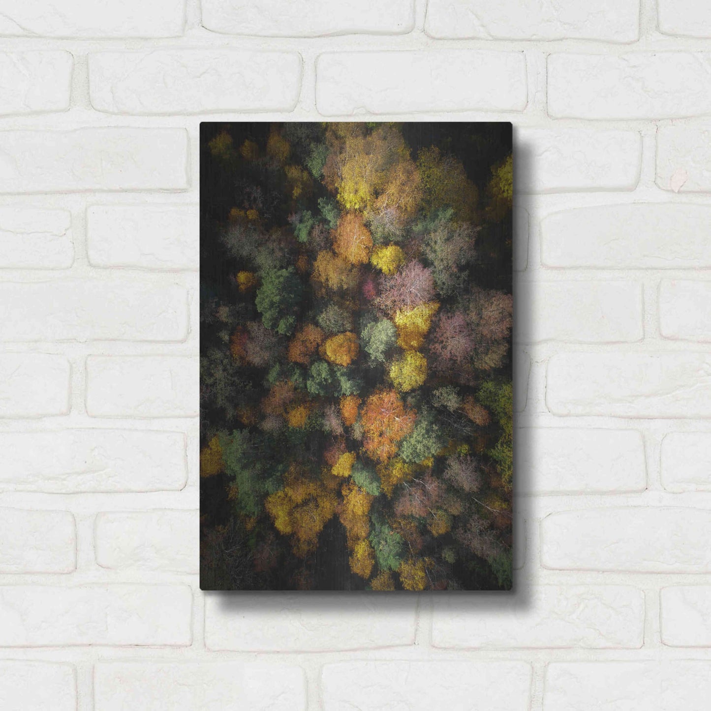 Luxe Metal Art 'Autumn Forest - Aerial Photography' by Nicklas Gustafsson, Metal Wall Art,12x16