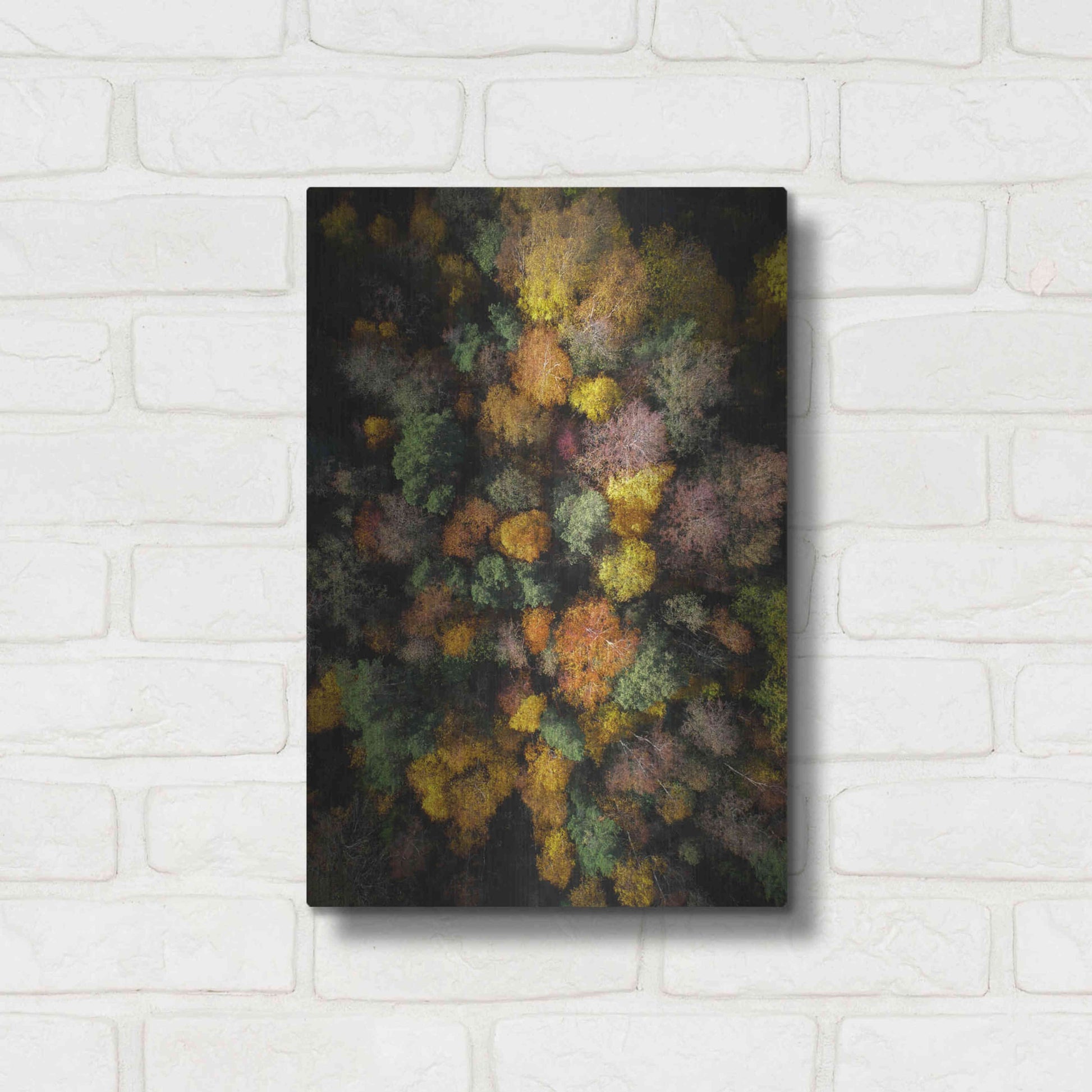 Luxe Metal Art 'Autumn Forest - Aerial Photography' by Nicklas Gustafsson, Metal Wall Art,12x16