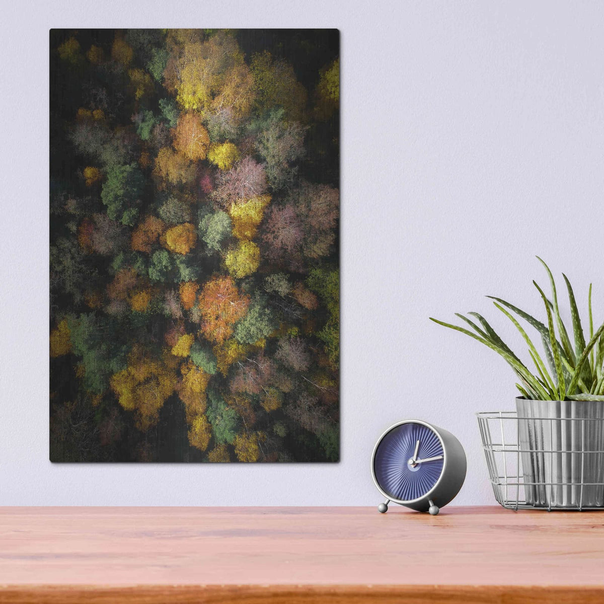 'Autumn Forest - Aerial Photography' by Nicklas Gustafsson – Metal Wall Art, 12x16 room view