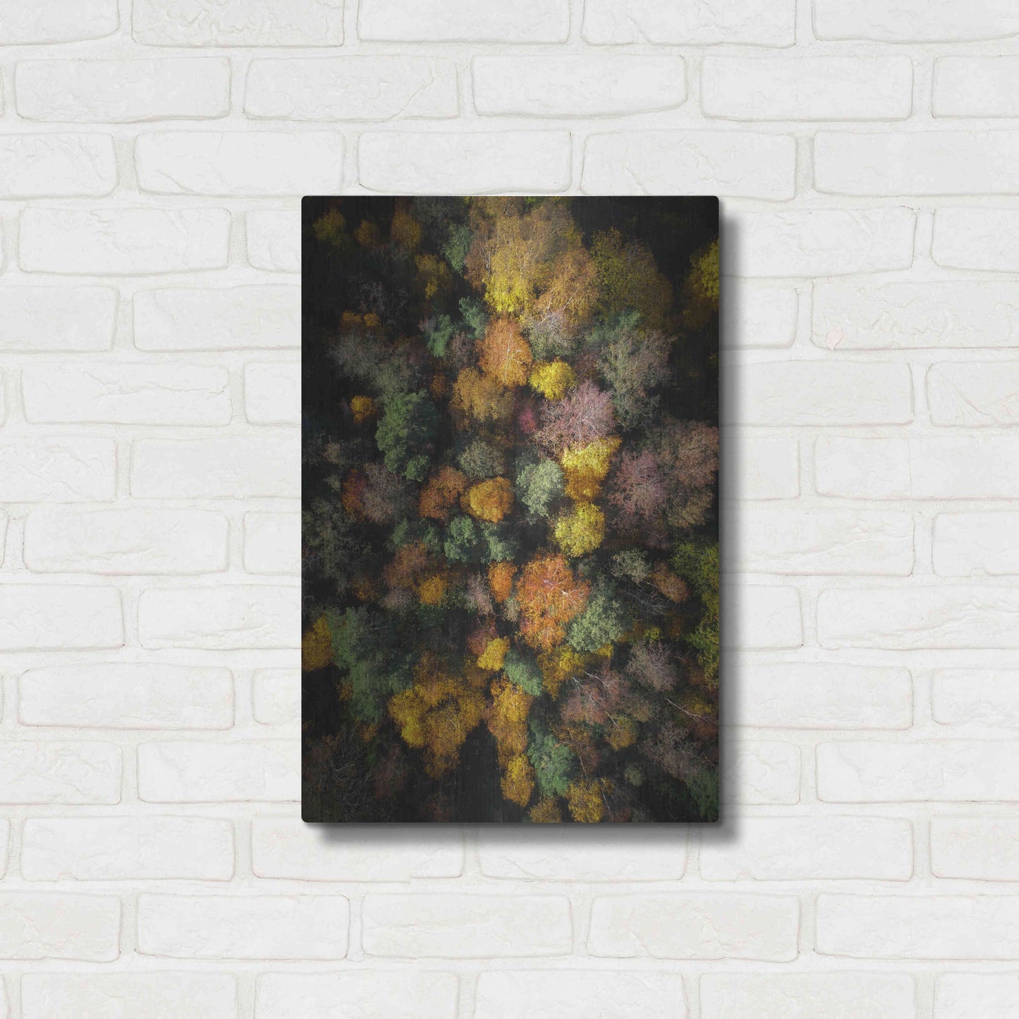 Luxe Metal Art 'Autumn Forest - Aerial Photography' by Nicklas Gustafsson, Metal Wall Art,16x24