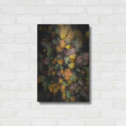 Luxe Metal Art 'Autumn Forest - Aerial Photography' by Nicklas Gustafsson, Metal Wall Art,16x24