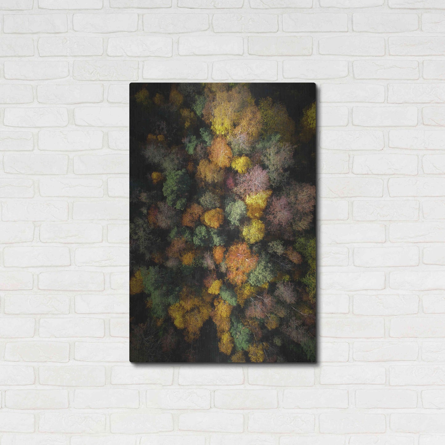 Luxe Metal Art 'Autumn Forest - Aerial Photography' by Nicklas Gustafsson, Metal Wall Art,24x36