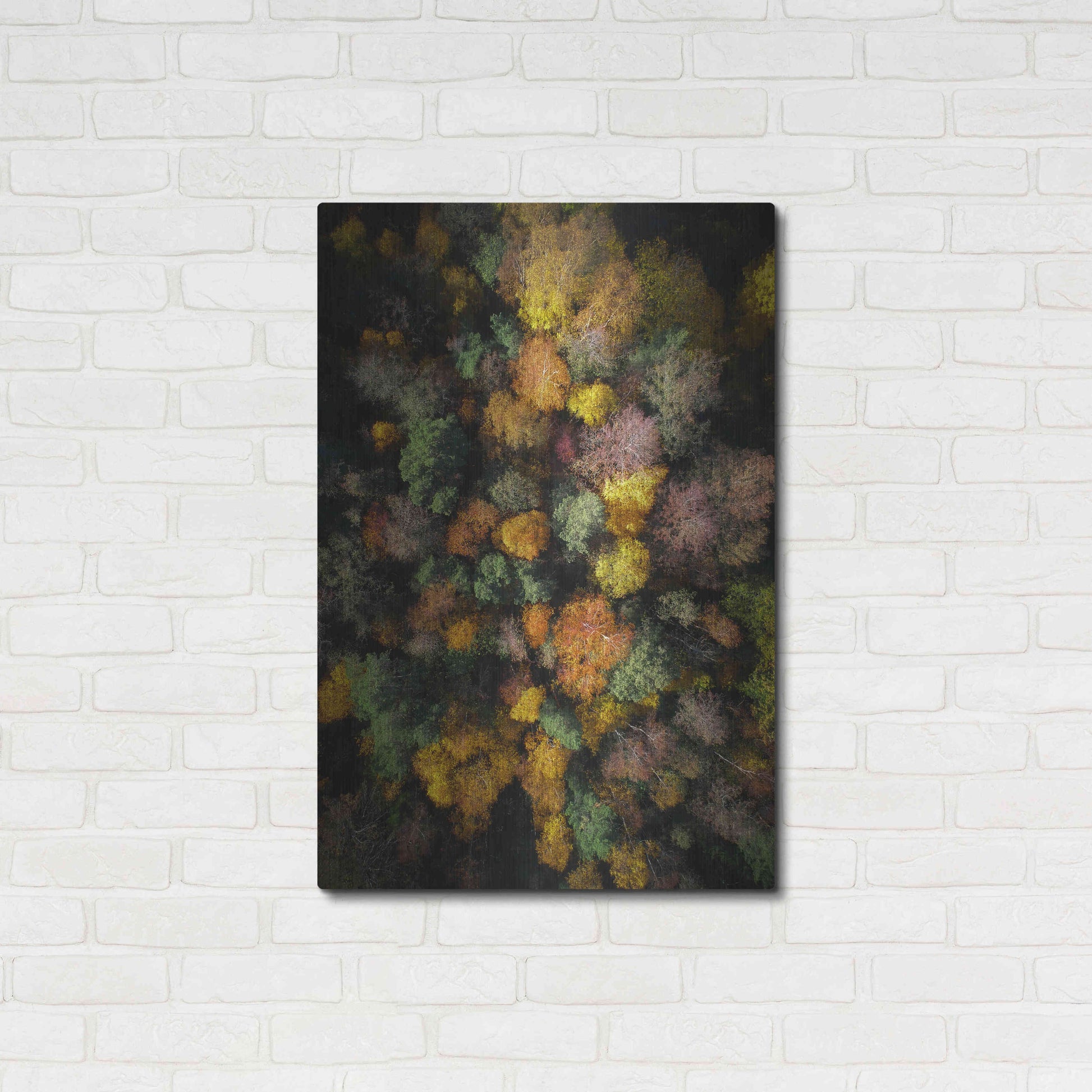 Luxe Metal Art 'Autumn Forest - Aerial Photography' by Nicklas Gustafsson, Metal Wall Art,24x36