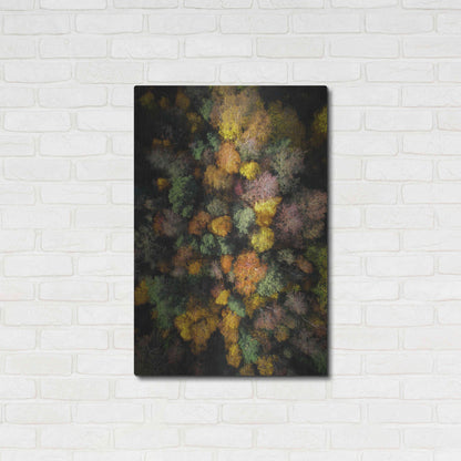Luxe Metal Art 'Autumn Forest - Aerial Photography' by Nicklas Gustafsson, Metal Wall Art,24x36