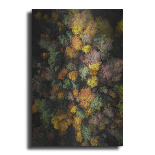 Luxe Metal Art 'Autumn Forest - Aerial Photography' by Nicklas Gustafsson, Metal Wall Art