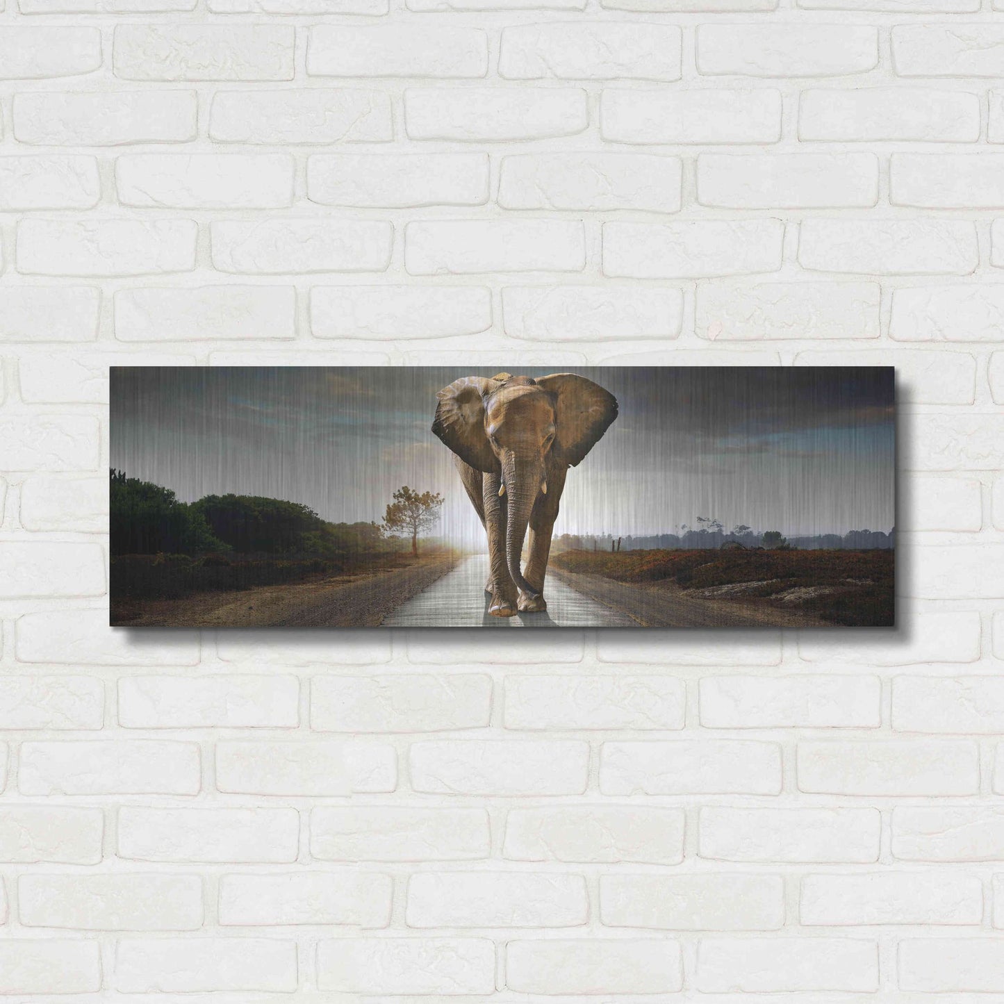 Luxe Metal Art 'Bigger Than Life' by Luxe Portfolio, Metal Wall Art,36x12