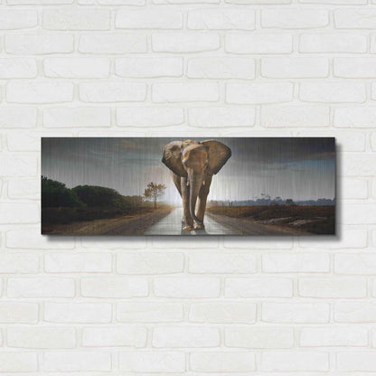 Luxe Metal Art 'Bigger Than Life' by Luxe Portfolio, Metal Wall Art,36x12