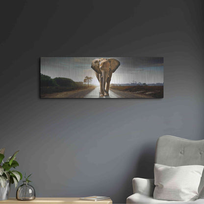 Luxe Metal Art 'Bigger Than Life' by Luxe Portfolio, Metal Wall Art,36x12