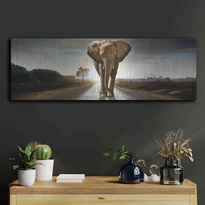 Luxe Metal Art 'Bigger Than Life' by Luxe Portfolio, Metal Wall Art,36x12