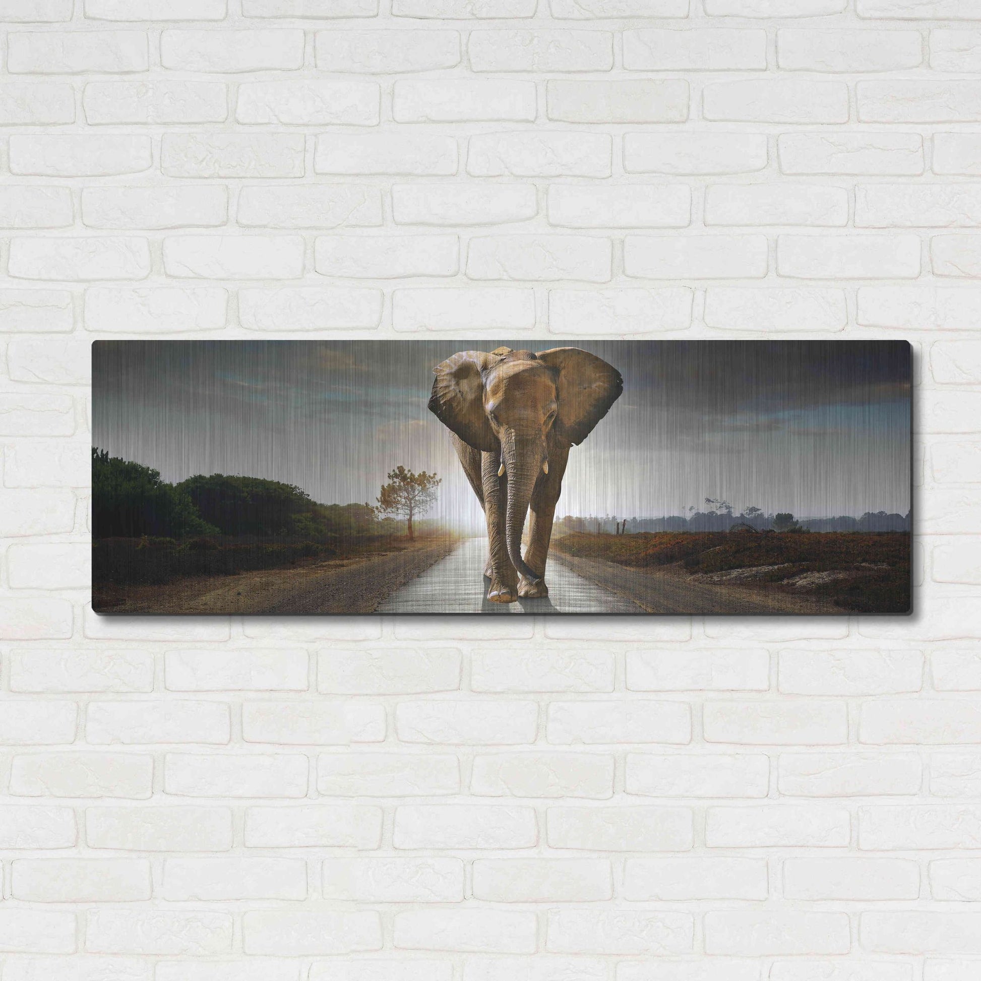 Luxe Metal Art 'Bigger Than Life' by Luxe Portfolio, Metal Wall Art,48x16