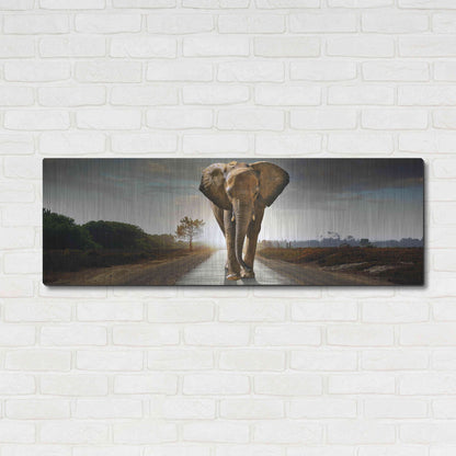 Luxe Metal Art 'Bigger Than Life' by Luxe Portfolio, Metal Wall Art,48x16