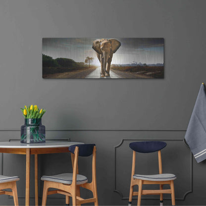 Luxe Metal Art 'Bigger Than Life' by Luxe Portfolio, Metal Wall Art,48x16