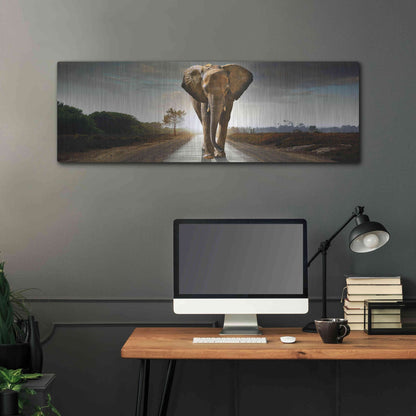 Luxe Metal Art 'Bigger Than Life' by Luxe Portfolio, Metal Wall Art,48x16