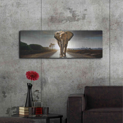 Luxe Metal Art 'Bigger Than Life' by Luxe Portfolio, Metal Wall Art,48x16