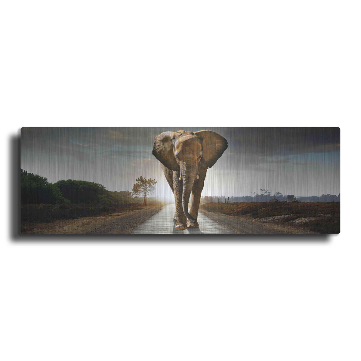 Luxe Metal Art 'Bigger Than Life' by Luxe Portfolio, Metal Wall Art