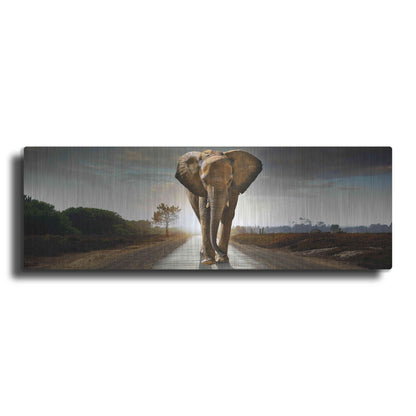 Luxe Metal Art 'Bigger Than Life' by Luxe Portfolio, Metal Wall Art