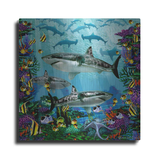 Luxe Metal Art 'Sharks Realm Below' by Enright, Metal Wall Art