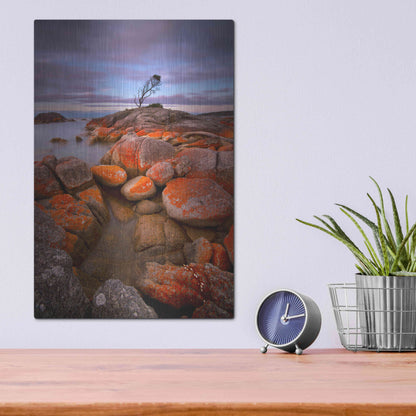 Luxe Metal Art 'Binalong Bay' by Everlook Photography, Metal Wall Art,12x16