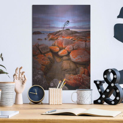Luxe Metal Art 'Binalong Bay' by Everlook Photography, Metal Wall Art,12x16