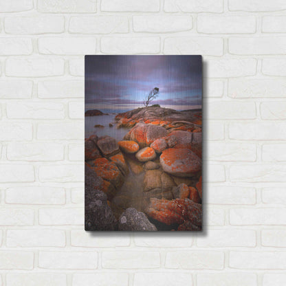 Luxe Metal Art 'Binalong Bay' by Everlook Photography, Metal Wall Art,16x24