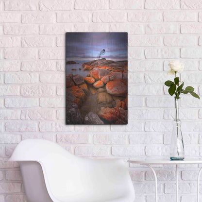 Luxe Metal Art 'Binalong Bay' by Everlook Photography, Metal Wall Art,16x24