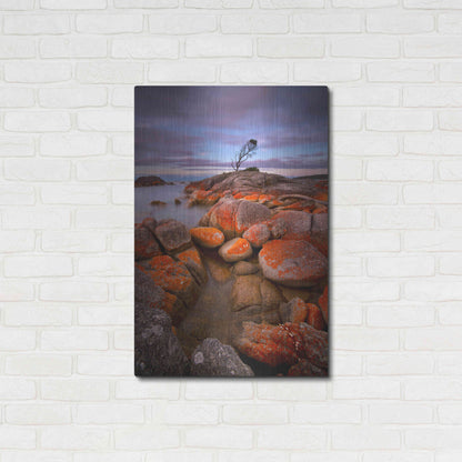 Luxe Metal Art 'Binalong Bay' by Everlook Photography, Metal Wall Art,24x36