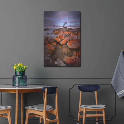 Luxe Metal Art 'Binalong Bay' by Everlook Photography, Metal Wall Art,24x36