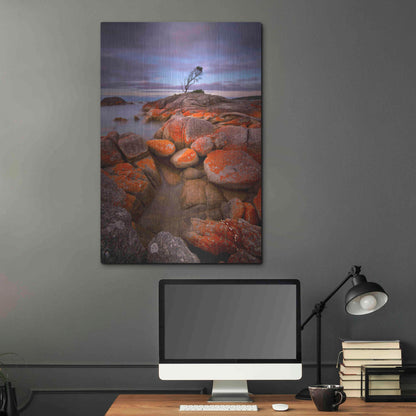 Luxe Metal Art 'Binalong Bay' by Everlook Photography, Metal Wall Art,24x36