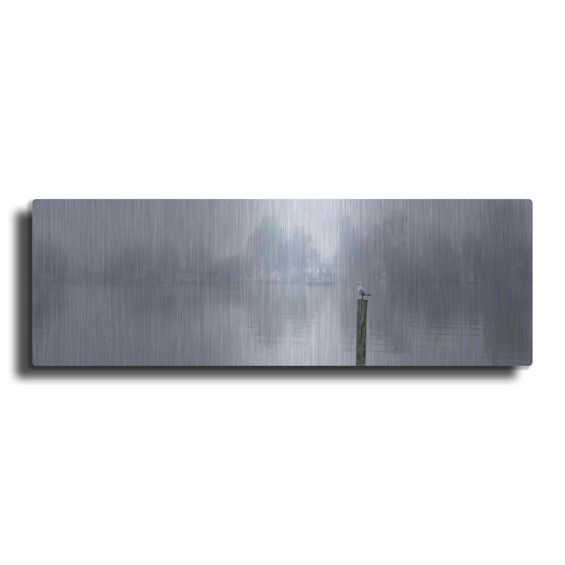 Luxe Metal Art 'Mannum Ferry' by Everlook Photography, Metal Wall Art