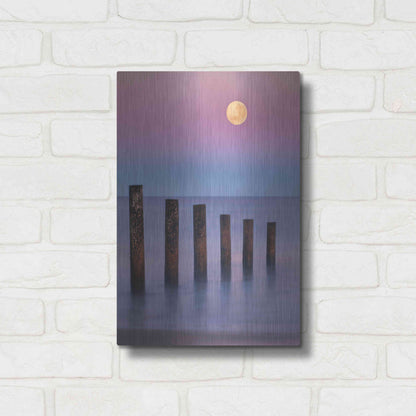 Luxe Metal Art 'Moana Moon' by Everlook Photography, Metal Wall Art,12x16