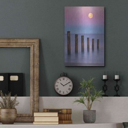 Luxe Metal Art 'Moana Moon' by Everlook Photography, Metal Wall Art,12x16
