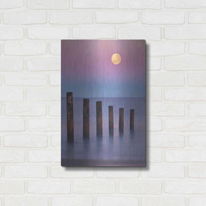 Luxe Metal Art 'Moana Moon' by Everlook Photography, Metal Wall Art,16x24