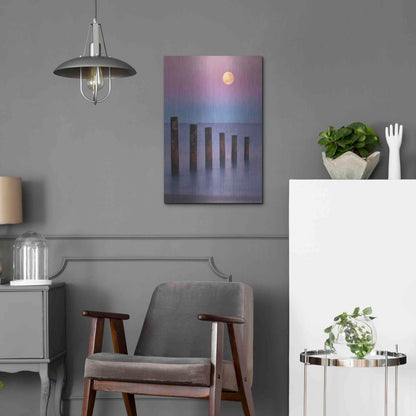 Luxe Metal Art 'Moana Moon' by Everlook Photography, Metal Wall Art,16x24