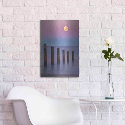 Luxe Metal Art 'Moana Moon' by Everlook Photography, Metal Wall Art,16x24