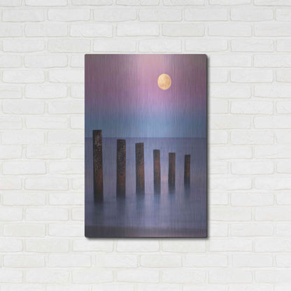 Luxe Metal Art 'Moana Moon' by Everlook Photography, Metal Wall Art,24x36