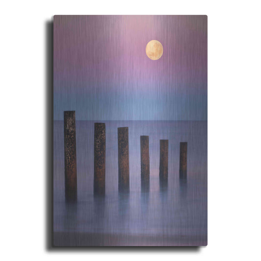 Luxe Metal Art 'Moana Moon' by Everlook Photography, Metal Wall Art