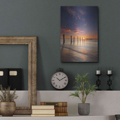 Luxe Metal Art 'Moana' by Everlook Photography, Metal Wall Art,12x16